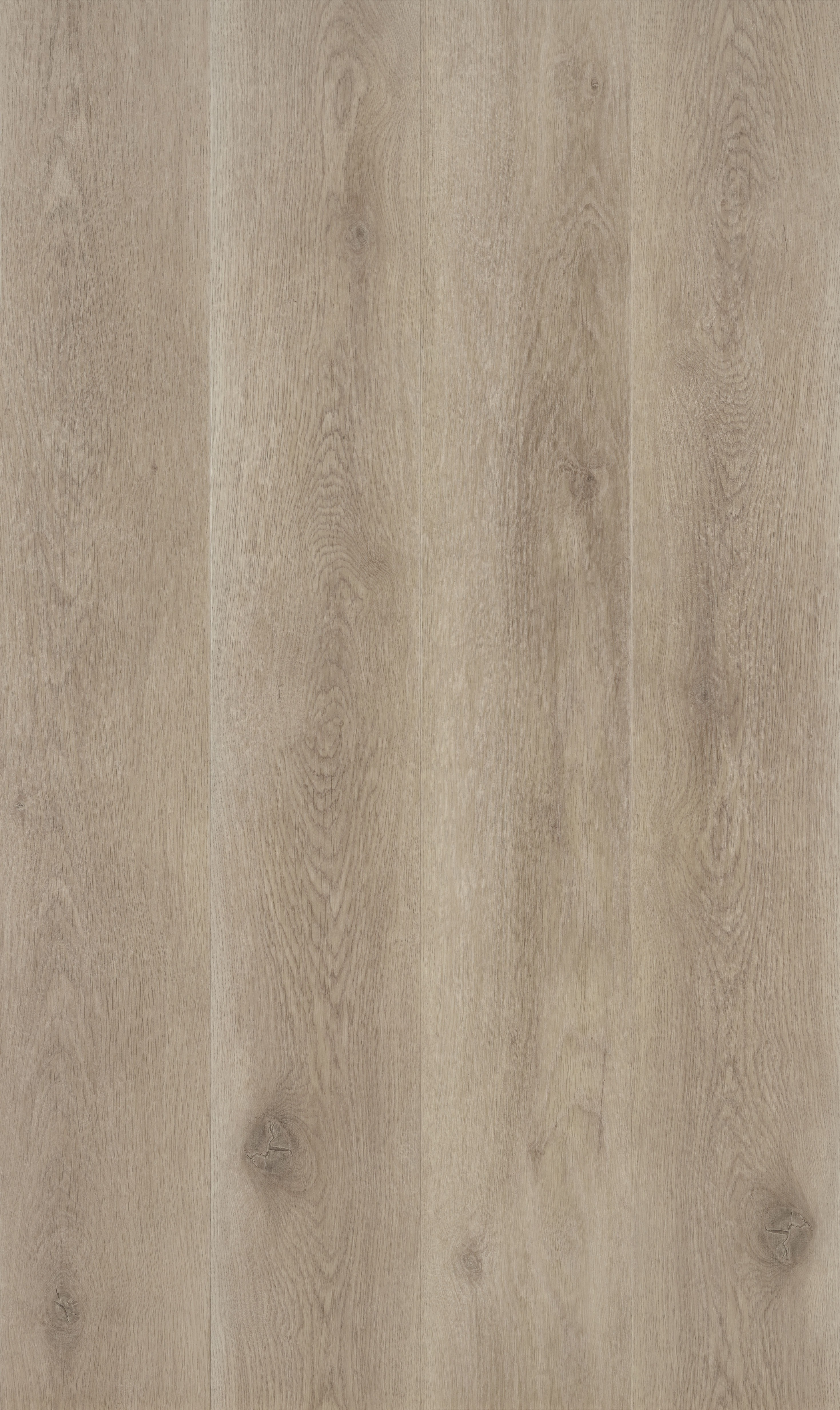 Coretec Meadow Designboden