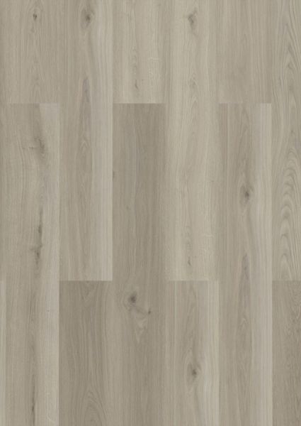 Klickvinyl Langdiele Eiche grau harmonisch
