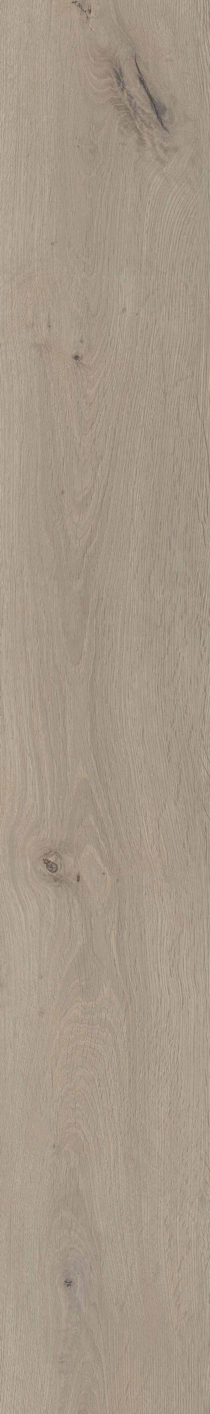 Coretec Desert Designboden Eiche weiss
