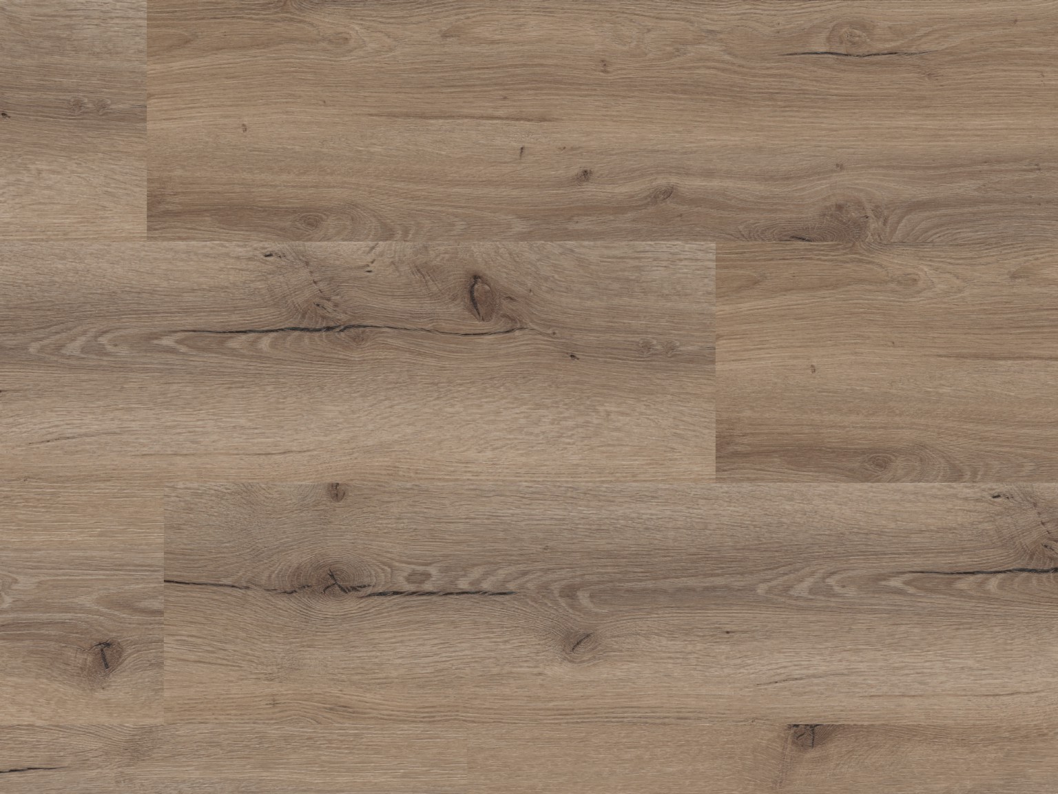 Klebe Vinyl Basic Asteiche nougat