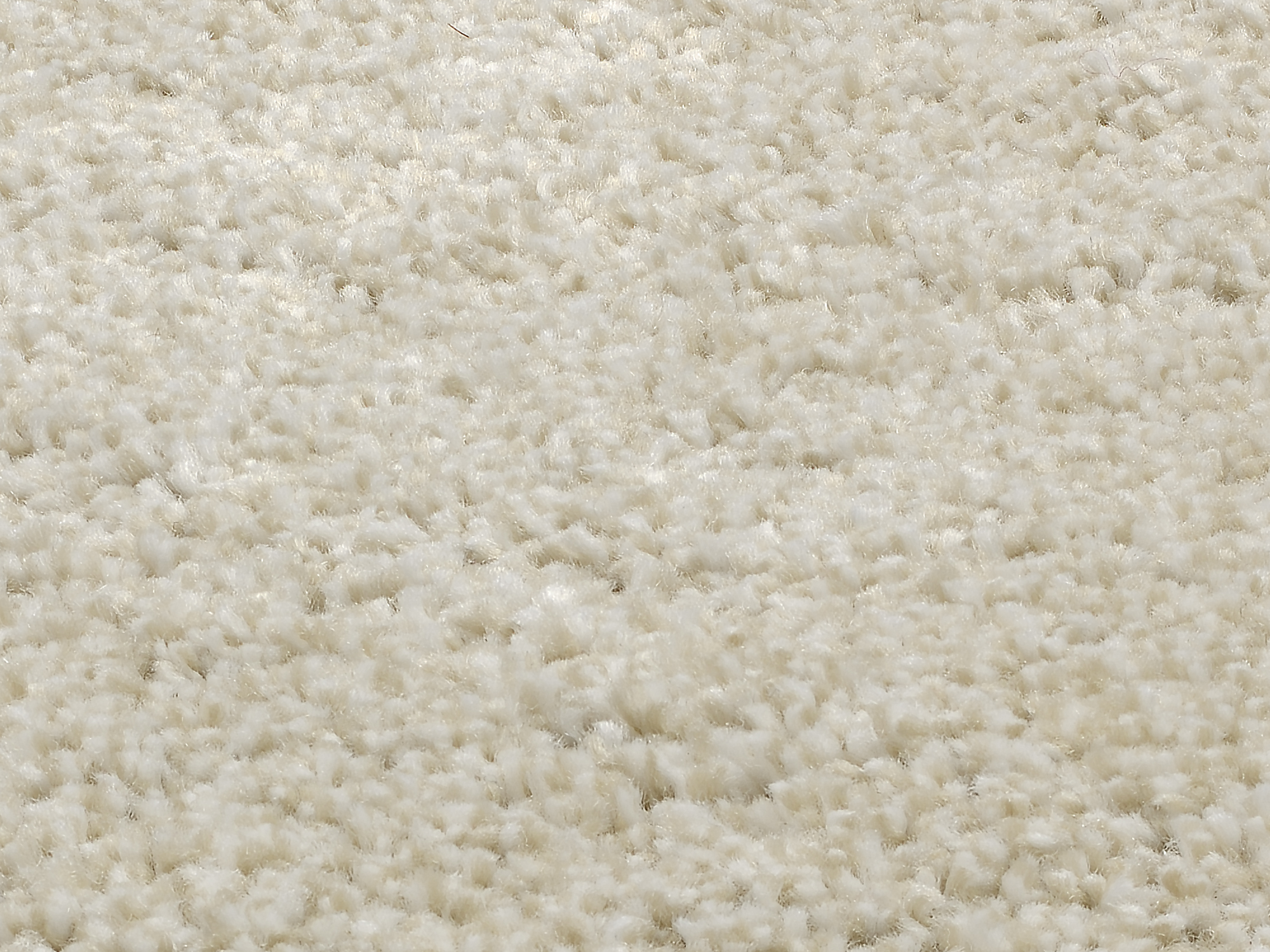 Montis Hochflor Teppich beige